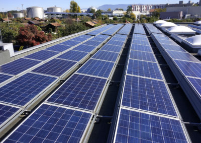 (ecomat plant barde)